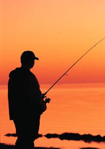 EASTERN SHORE FISHING